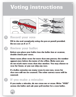 Example voting instructions sheet